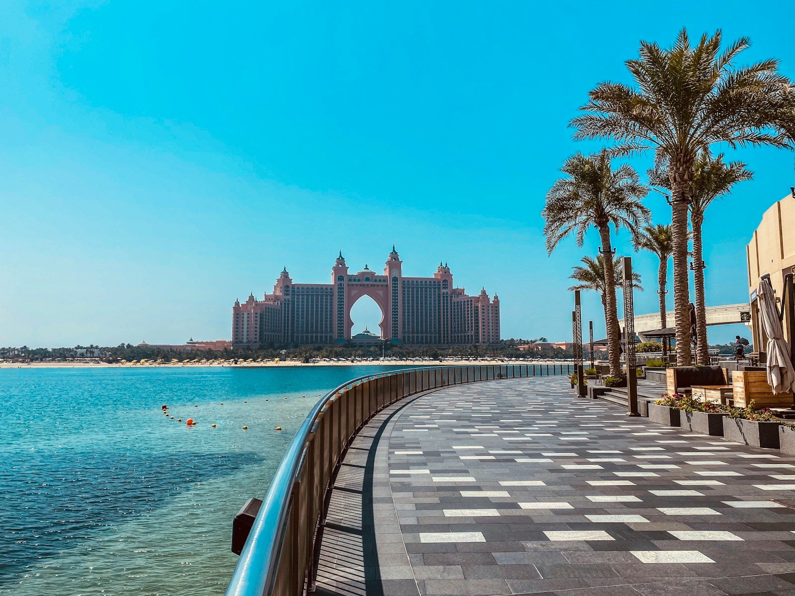 tall palm trees near sea with docks taken under white clouds