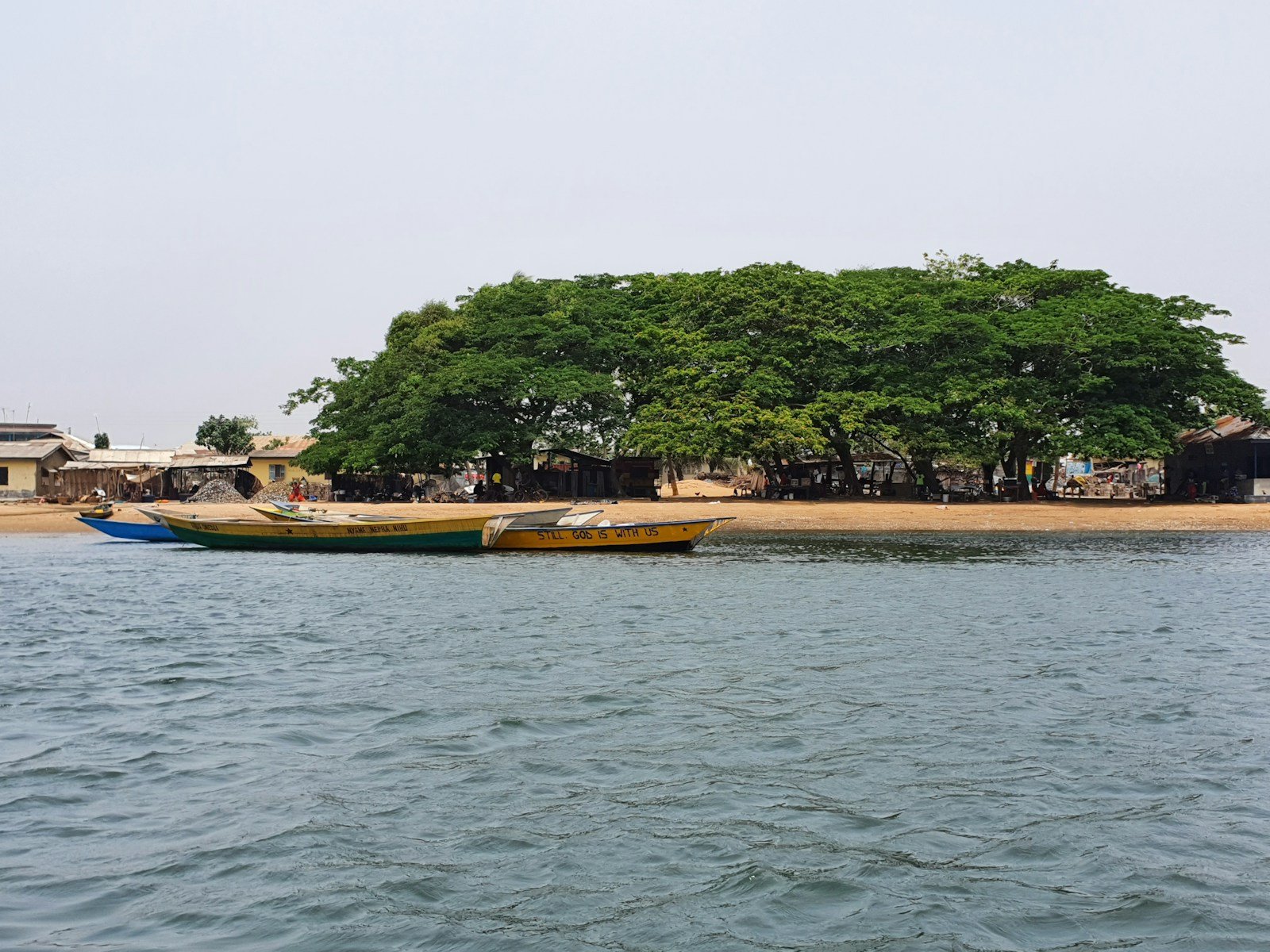 tall palm trees near sea with docks taken under white clouds