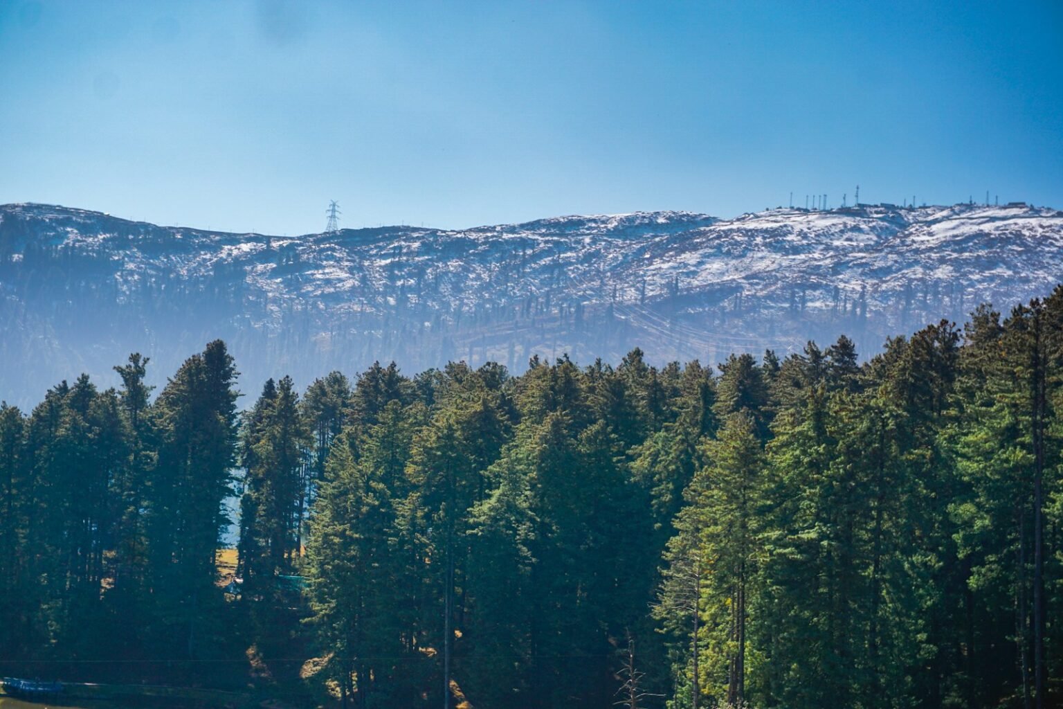 a view of a mountain with trees in the foreground