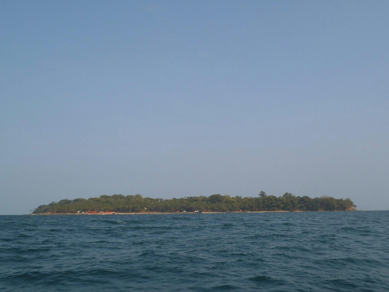 tall palm trees near sea with docks taken under white clouds