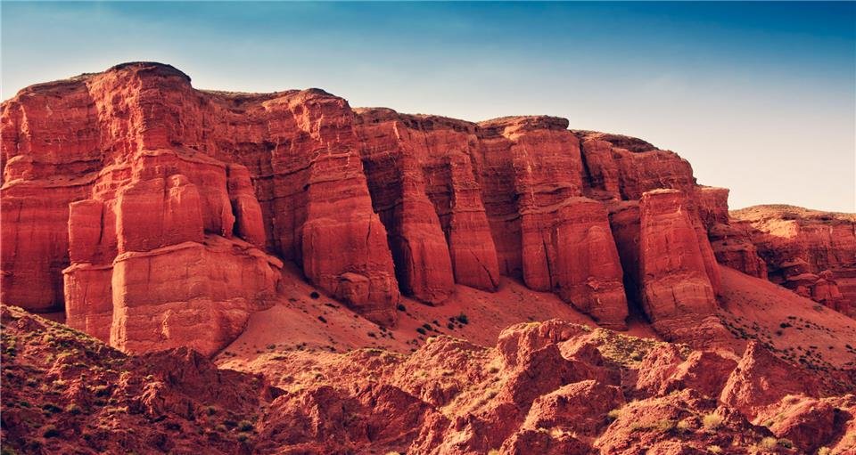 tall palm trees near sea with docks taken under white clouds