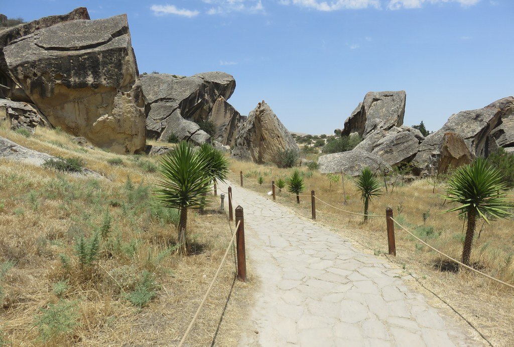 tall palm trees near sea with docks taken under white clouds
