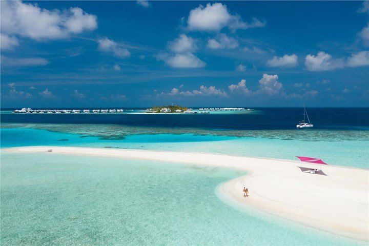 tall palm trees near sea with docks taken under white clouds