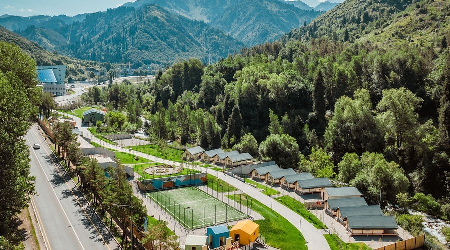 tall palm trees near sea with docks taken under white clouds